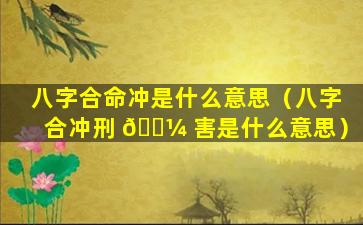 八字合命冲是什么意思（八字合冲刑 🌼 害是什么意思）